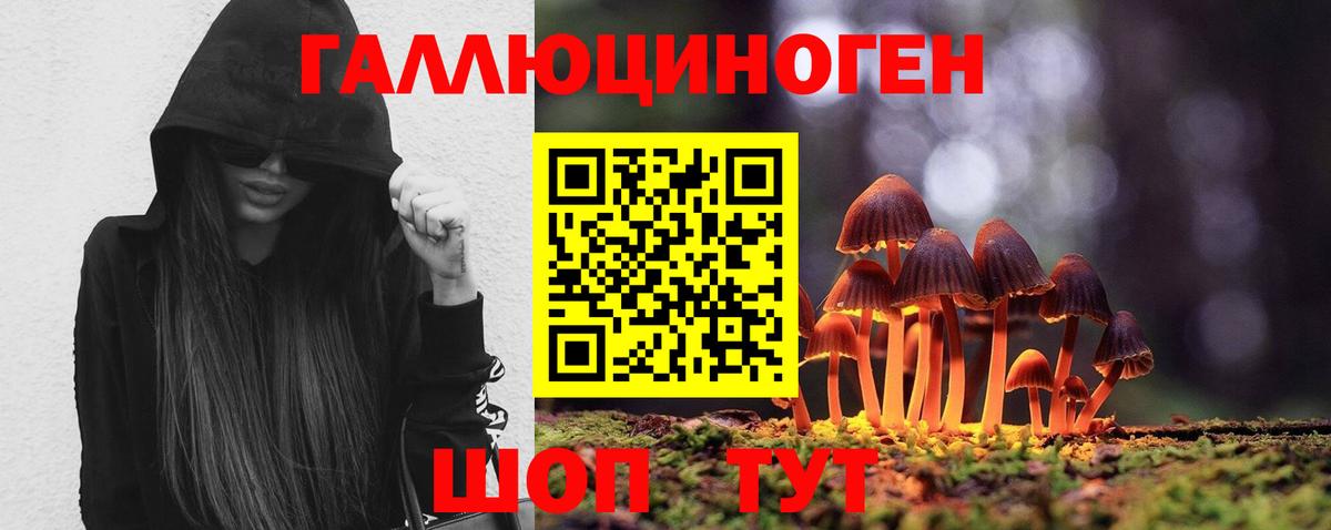 Псилоцибиновые грибы Cubensis Абинск